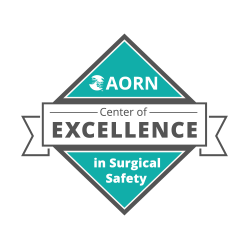 Northside Plastic Surgery & the Greater Atlanta Plastic Surgery Center received the award for 'Center of Excellence in Surgical Safety